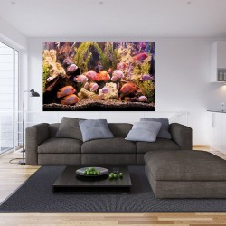 Wall mural aquarium with fishes