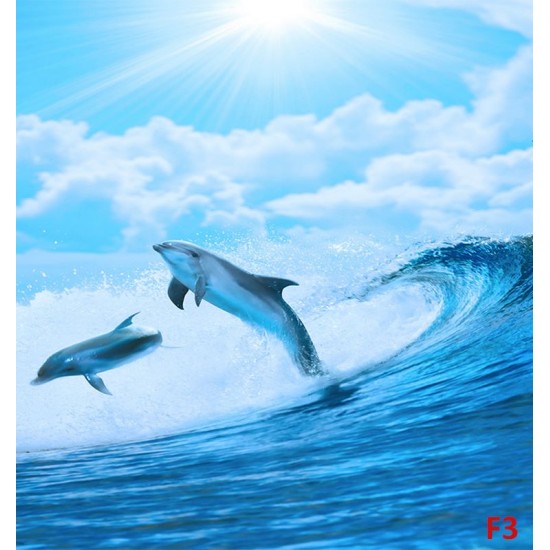 Photo mural two dolphins in sea waves Photo mural two dolphins in sea waves