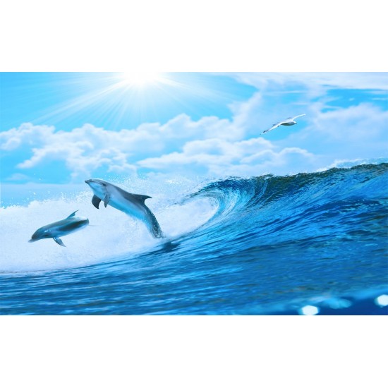 Photo mural two dolphins in sea waves Photo mural two dolphins in sea waves