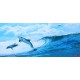 Photo mural two dolphins in sea waves Photo mural two dolphins in sea waves