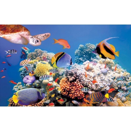 Wallpapers mural sea bottom with fishes and a turtle Wallpapers mural sea bottom with fishes and a turtle