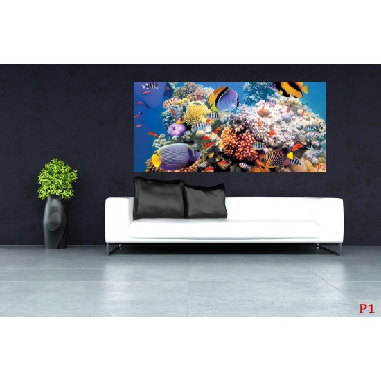 Wallpapers mural sea bottom with fishes and a turtle Wallpapers mural sea bottom with fishes and a turtle
