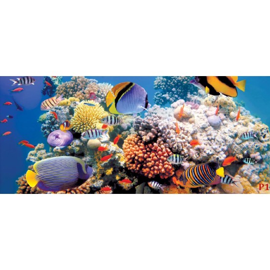 Wallpapers mural sea bottom with fishes and a turtle Wallpapers mural sea bottom with fishes and a turtle