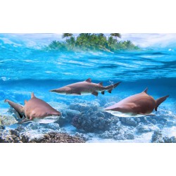 Wallpapers mural three sharks and a view with a small island