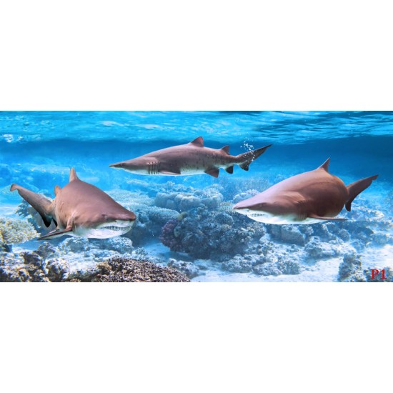 Wallpapers mural three sharks and a view with a small island Wallpapers mural three sharks and a view with a small island