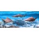 Wallpapers mural three sharks and a view with a small island Wallpapers mural three sharks and a view with a small island