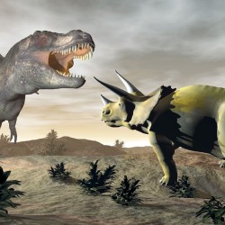 Wall murals Dinosaurs on a gray background and moon