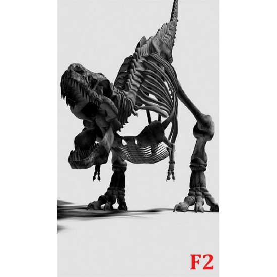Wallpapers mural black dinosaur skeleton