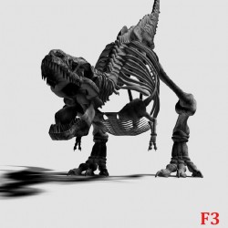 Wallpapers mural black dinosaur skeleton Wallpapers mural black dinosaur skeleton