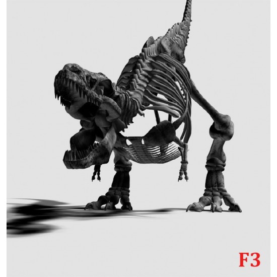 Wallpapers mural black dinosaur skeleton