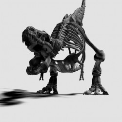 Wallpapers mural black dinosaur skeleton