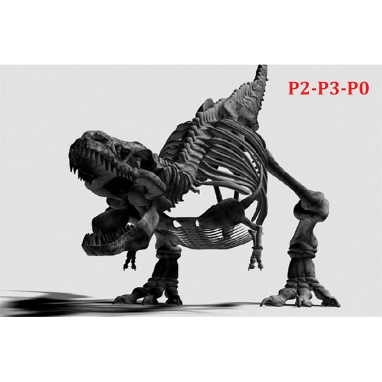 Wallpapers mural black dinosaur skeleton