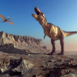 Photo murals dinosaur the background of mountain