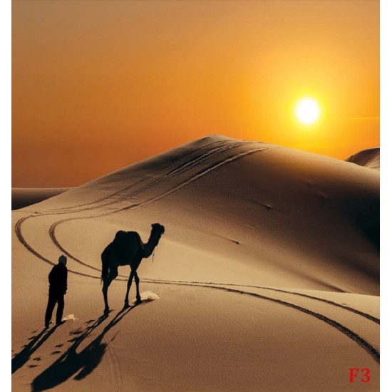 Wall mural orange wilderness views and camel