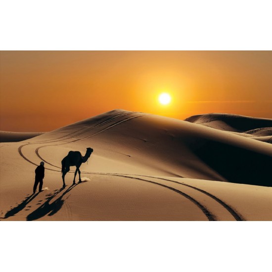 Wall mural orange wilderness views and camel