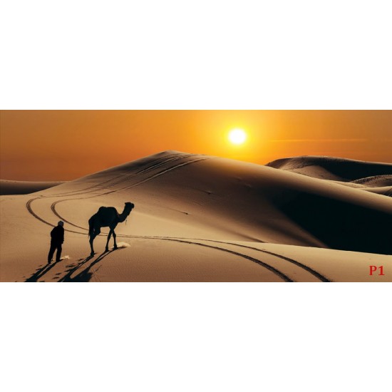 Wall mural orange wilderness views and camel