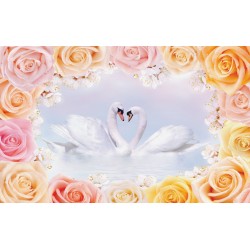 Photo mural-fototapete swan couple in roses frame