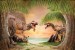 wallcoverings dinosaurs background beach
