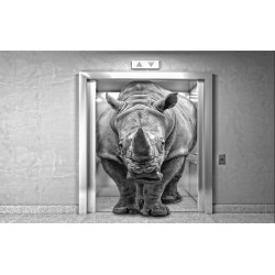 Wall murals 3d effect rhino in elevator Wall murals 3d effect rhino in elevator