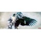 Wall murals eagle with outstretched wings painted