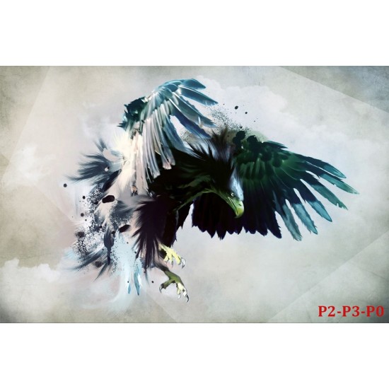 Wall murals eagle with outstretched wings painted