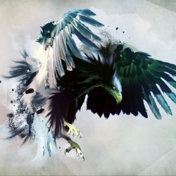 Wall murals eagle with outstretched wings painted