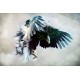 Wall murals eagle with outstretched wings painted