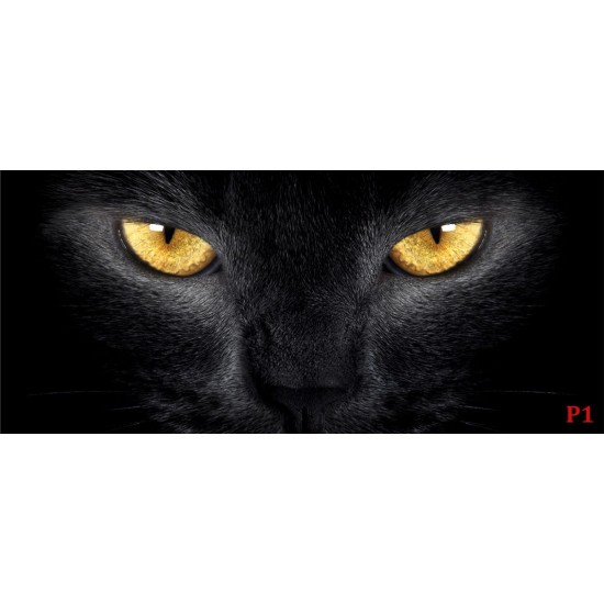 photo murals a black cat photo murals a black cat