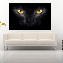 photo murals a black cat photo murals a black cat