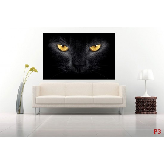 photo murals a black cat photo murals a black cat