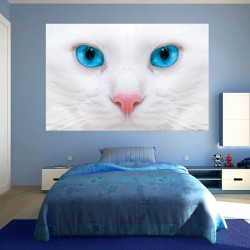 photo murals white cat with blue eyes photo murals white cat with blue eyes