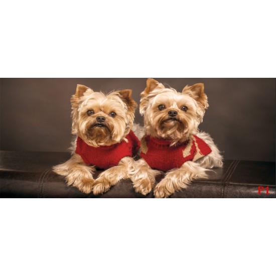 Wall murals cute little puppies Wall murals cute little puppies