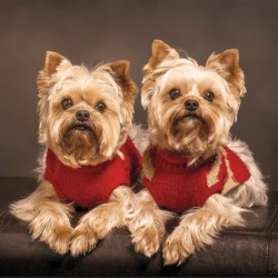 Wall murals cute little puppies
