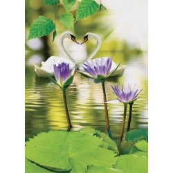 Wallpapers swans in love with leaves in a lake