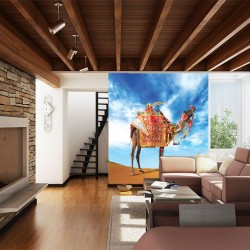 Wallpapers colorful camel in the desert Wallpapers colorful camel in the desert