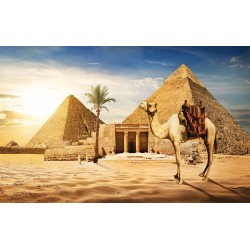 Wall mural view of camel and pyramids in desert