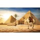 Wall mural view of camel and pyramids in desert Wall mural view of camel and pyramids in desert