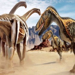 Wall murals dinosaurs running in the desert