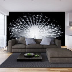 Wallpapers mural black-white peacock