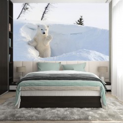 Wall murals white bear in the snow