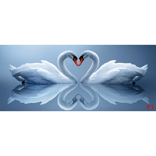 Photo mural swan couple in mirror view in 2 colors