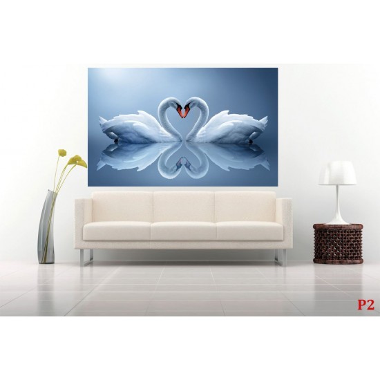 Photo mural swan couple in mirror view in 2 colors