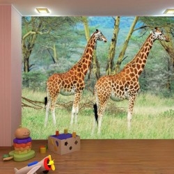 Wall mural couple giraffe on painted background Wall mural couple giraffe on painted background
