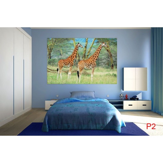 Wall mural couple giraffe on painted background Wall mural couple giraffe on painted background