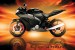 Wall mural effective motor sports