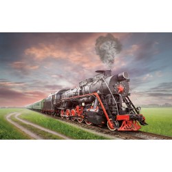 Wall mural beautiful view of the train in field Wall mural beautiful view of the train in field