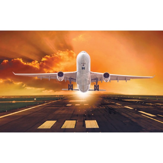 Wallpapers mural plane on orange sky background
