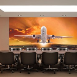 Wallpapers mural plane on orange sky background