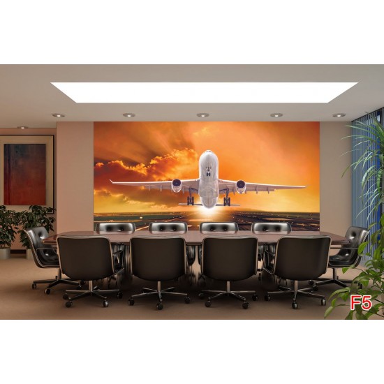 Wallpapers mural plane on orange sky background