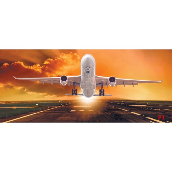 Wallpapers mural plane on orange sky background